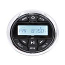 Pontoon Boat Waterproof Radio Player